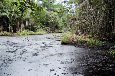 Laguna Shanshococha, contaminada por petróleo